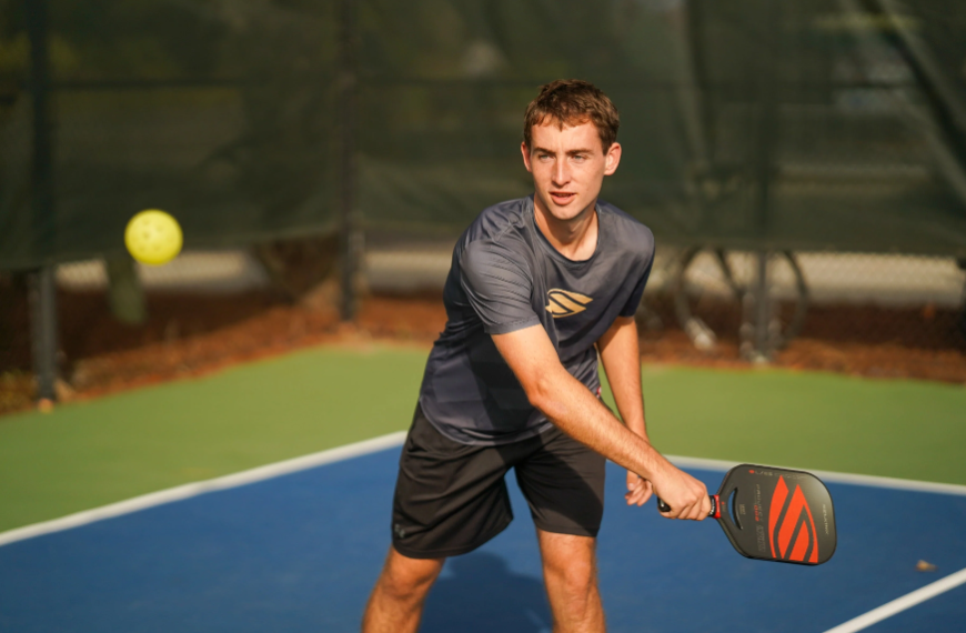 Why Srikel Pickleball is the Best Budget-Friendly Pro Alternative