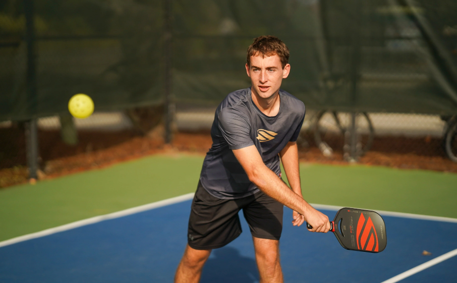 Why Srikel Pickleball is the Best Budget-Friendly Pro Alternative